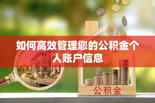 交易如何高效管理您的公积金个人账户信息