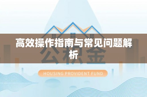 交易高效操作指南与常见问题解析