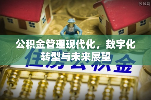交易公积金管理现代化，数字化转型与未来展望