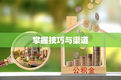 交易掌握技巧与渠道