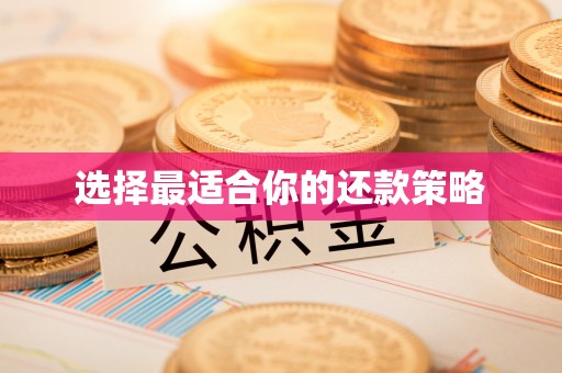 交易选择最适合你的还款策略
