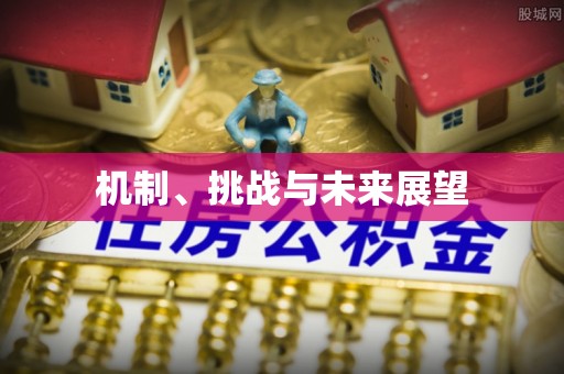 交易机制、挑战与未来展望